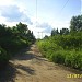 СНТ «Дружба» в городе Софрино