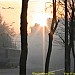 Остановка общественного транспорта «Главная аллея» в городе Москва