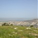 اراضي ابناءالحاج نجيب الباير العرايضة (en) في ميدنة صما 