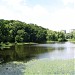Верхние Ореховатские пруды в городе Киев