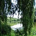 Didorivka Pond in Kyiv city