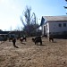 Конюшня НУБІПу в місті Київ