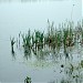 Teryayevskiye Ponds