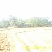 Mahavir Temple, Olasingh, Khurda, Orissa, India in Olasingh city