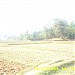 Mahavir Temple, Olasingh, Khurda, Orissa, India in Olasingh city