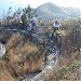 'C' Heavy Battery (Bootless Bay Battery, Drysdale Ridge)  in Port Moresby city