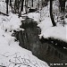 Участок долины р. Чермянки от МКАД до ул. Корнейчука в городе Москва
