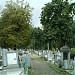 Cimitirul Central, Hajongard în Cluj-Napoca oraş