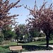 Parc Alsace (fr) in Maisons-Alfort city