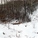 Остатки русла реки Фильки и пруда (ru) in Moscow city
