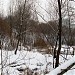 Болото на старом русле реки Фильки в городе Москва