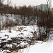 Болото на старом русле реки Фильки в городе Москва