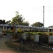 Rabindranath Tagore Gurukul Vidyalaya in Gaurella city