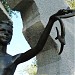 Памятник детям – жертвам чернобыльской трагедии (ru) in Yevpatoriya / Yevpatoriia city