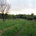 Остатки тренировочного полигона общевойсковой академии Вооружённых сил РФ в городе Москва