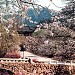 Jongbangsan Fortress in Sariwon city