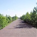 Рампа в городе Мурино
