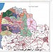 لواء الطيبة  في ميدنة صما 