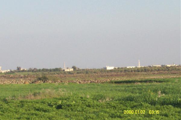 Tasil