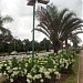 Praça (pt) in Vinhedo city