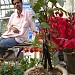 INDIRA MARKET in Agartala city