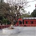Buddha Mandir in Agartala city