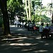 Parcul 