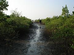 Chitrapu Mangroves Mulki Beach Our top picks lowest price first star rating and price top reviewed. wikimapia