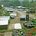 Balasore PHD Warehouse in Balasore city