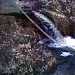 Водопад Собачий в городе Москва