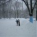 Каток «Ледовый бум» в городе Москва