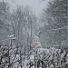 Каток «Ледовый бум» в городе Москва