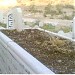 قبر الحاجة حمدة العظم (en) في ميدنة صما 