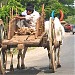 UNDER THE BRIDGE SEATS ARE THERE TO SIT AND ENJOY NATURE in Kodungallur city