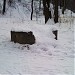 Остатки железобетонного пулеметного колпака времен Великой Отечественной войны (№ 4) в городе Москва