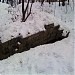 Остатки малого пулемётного ДОТа (№ 2) в городе Москва