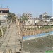 Bamboo Bridge