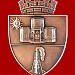 Primaria Campina în Câmpina oraş