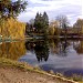 Lacul Bisericii în Câmpina oraş