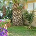 ERIFILI   APARTMENTS & STUDIOS in Sarti, Chalkidiki city