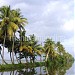 K B Habibrahman Kalarikkal  in Kodungallur city