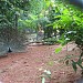 Kuttikat Salim's House in Kodungallur city