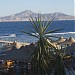 Rehana Royal Beach & Spa 5* в городе Шарм-эш-Шейх