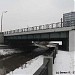Олений мост в городе Москва