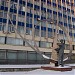 Пам'ятник Петру Нестерову в місті Київ