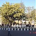فه‌له‌که‌ی شاناز in سقز city