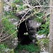Nuraghe Pazza