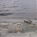 Солнечный пляж в городе Таганрог