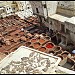 Chouara tannery in Fes city
