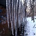 Ведомственные гаражи в городе Москва